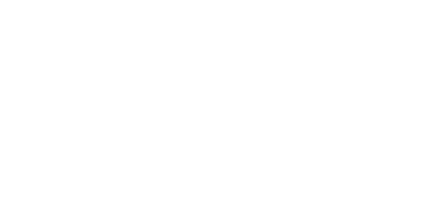 Honk